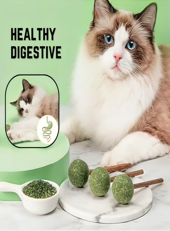 PET FUN Catnip Mint Ball Toy | Natural Catnip Lollipop Treats for Teeth Cleaning, Chewing, and Licking | Fresh Breath & Playful Fun for Cats & Kittens (Pack of 3) - Image 3